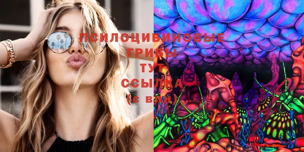 метамфетамин Козельск
