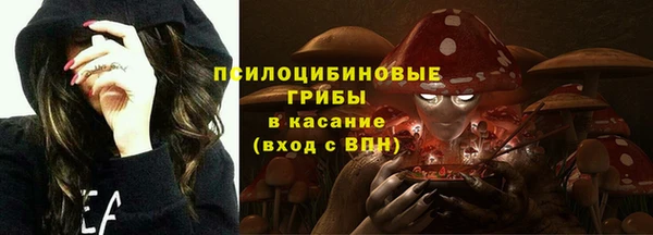 mdpv Кодинск