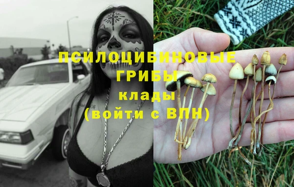 метамфетамин Козельск