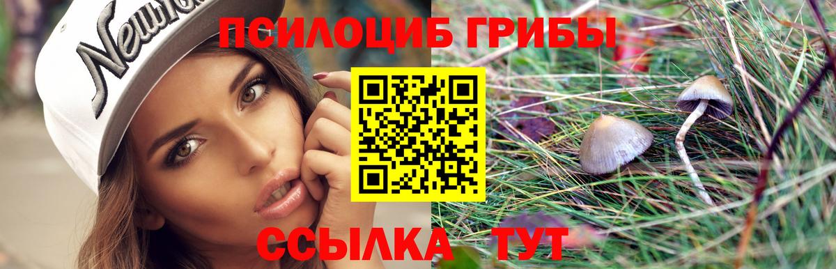 Галлюциногенные грибы мухоморы  Псилоцибиновые грибы Psilocybe  Вход с VPN  Коломна 